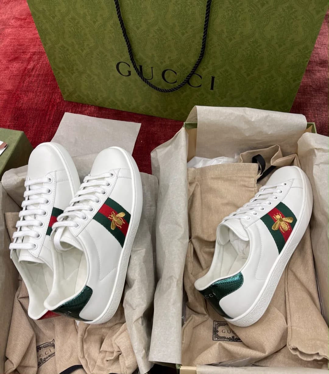 Gucci sneaker