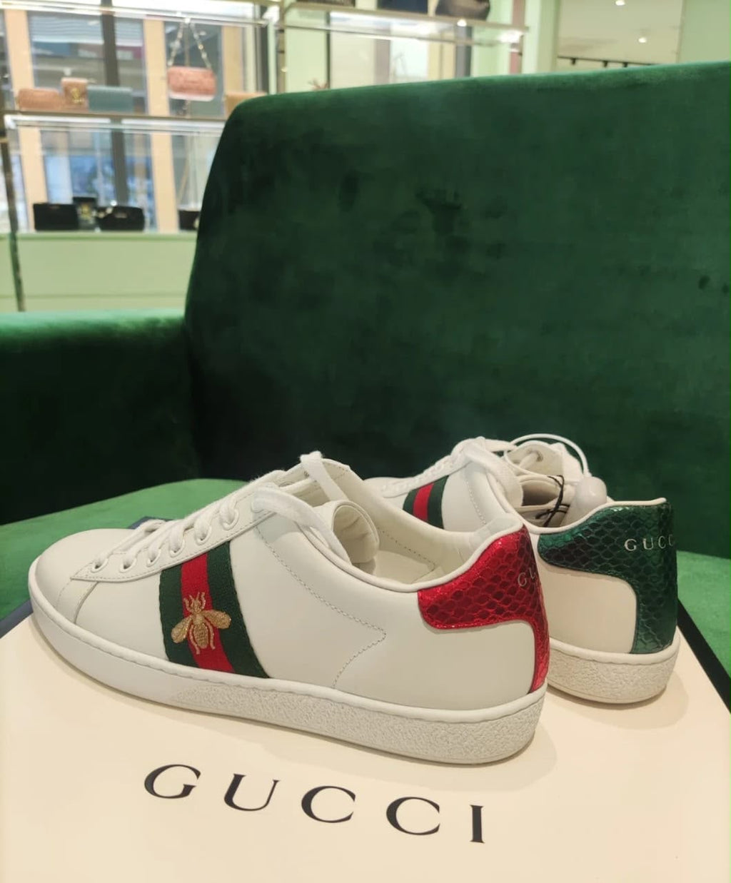 Gucci sneaker